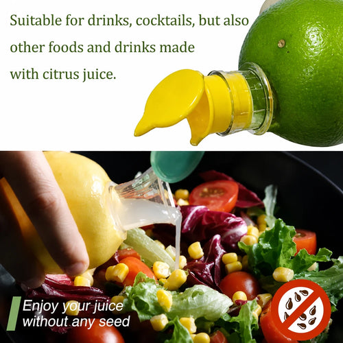 Portable Manual Citrus Juicer